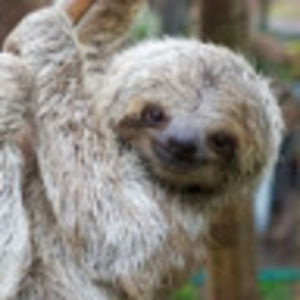 Meet your Posher, Liyana